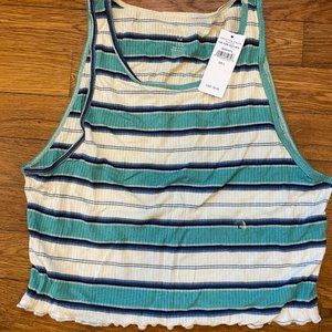 American Eagle Striped Cropped Tank